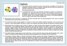 Hadrons