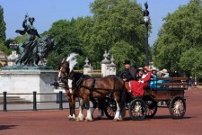 Horse And Carriage London