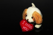 I Miss You With Puppy