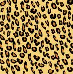 Leopard Skin Print Pattern