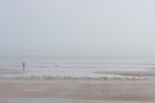 Misty Beach Walk