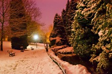 Night Park - Winter Seasons