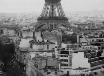 Paris Roof Tops