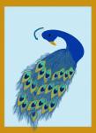 Peacock Bird Card