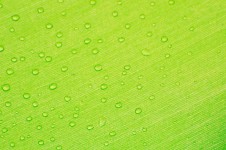 Raindrops On The Green Background