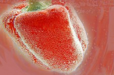 Red Pepper And Bubbles