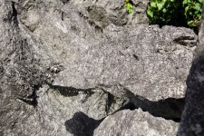 Rock Stone Background
