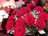 Roses For Valentines Day