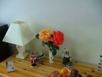 Roses On Table