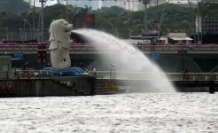 Singapore Sea Lion Spilling Water