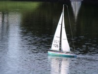 Single Model Sailboat