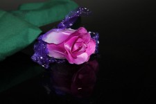 Single Violet Rose