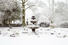 Snowy Fountain