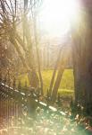 Sun And Fence