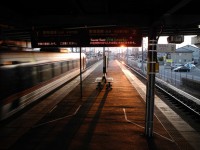 Train For Sunset In Nishi-gifu