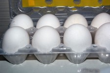 Tray Of Eggs