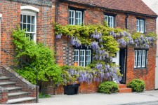 Wisteria Covered House