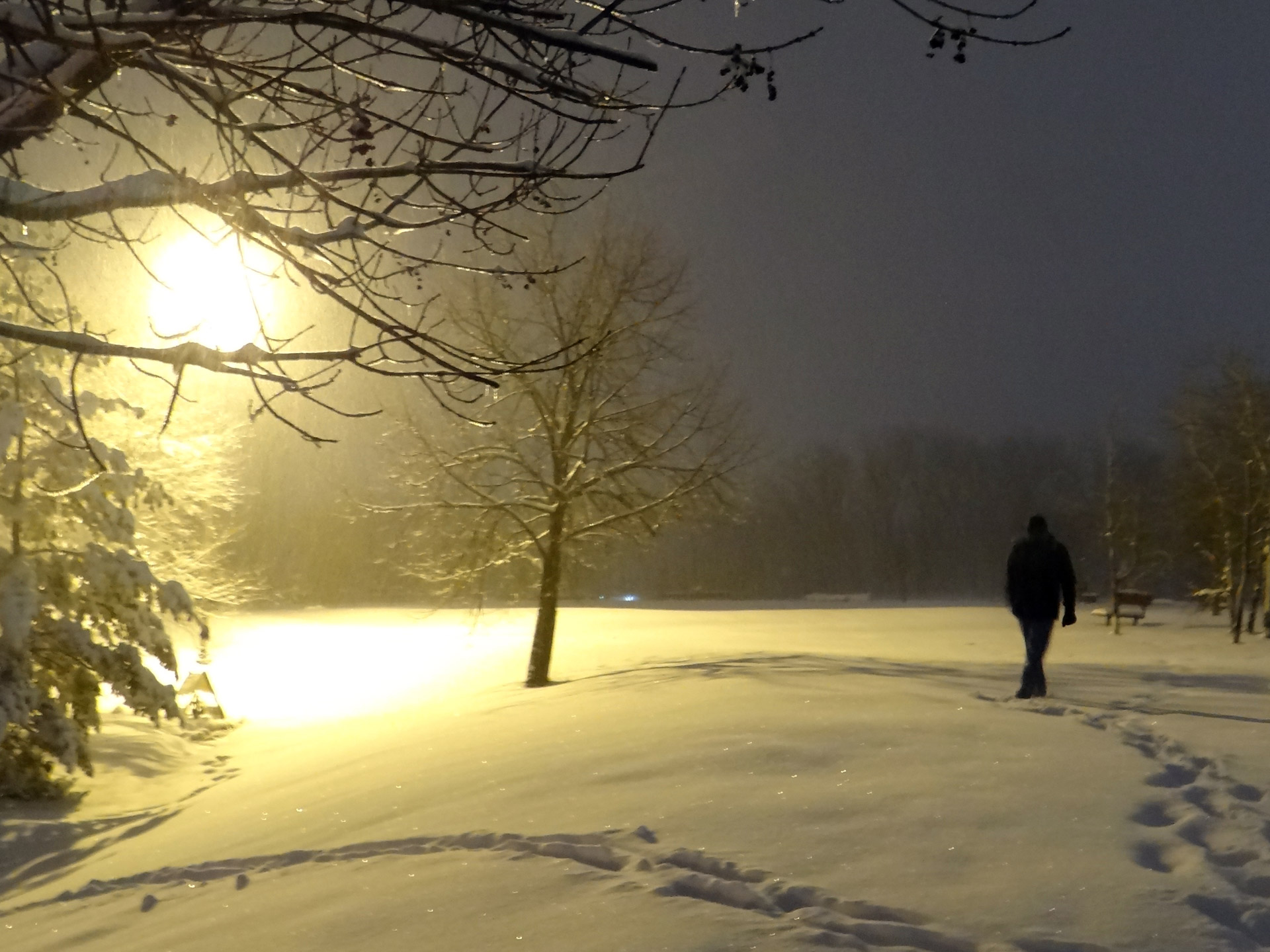 A man and his thoughts as he walks through a snowstorm in the Midwest March 5, 2013.