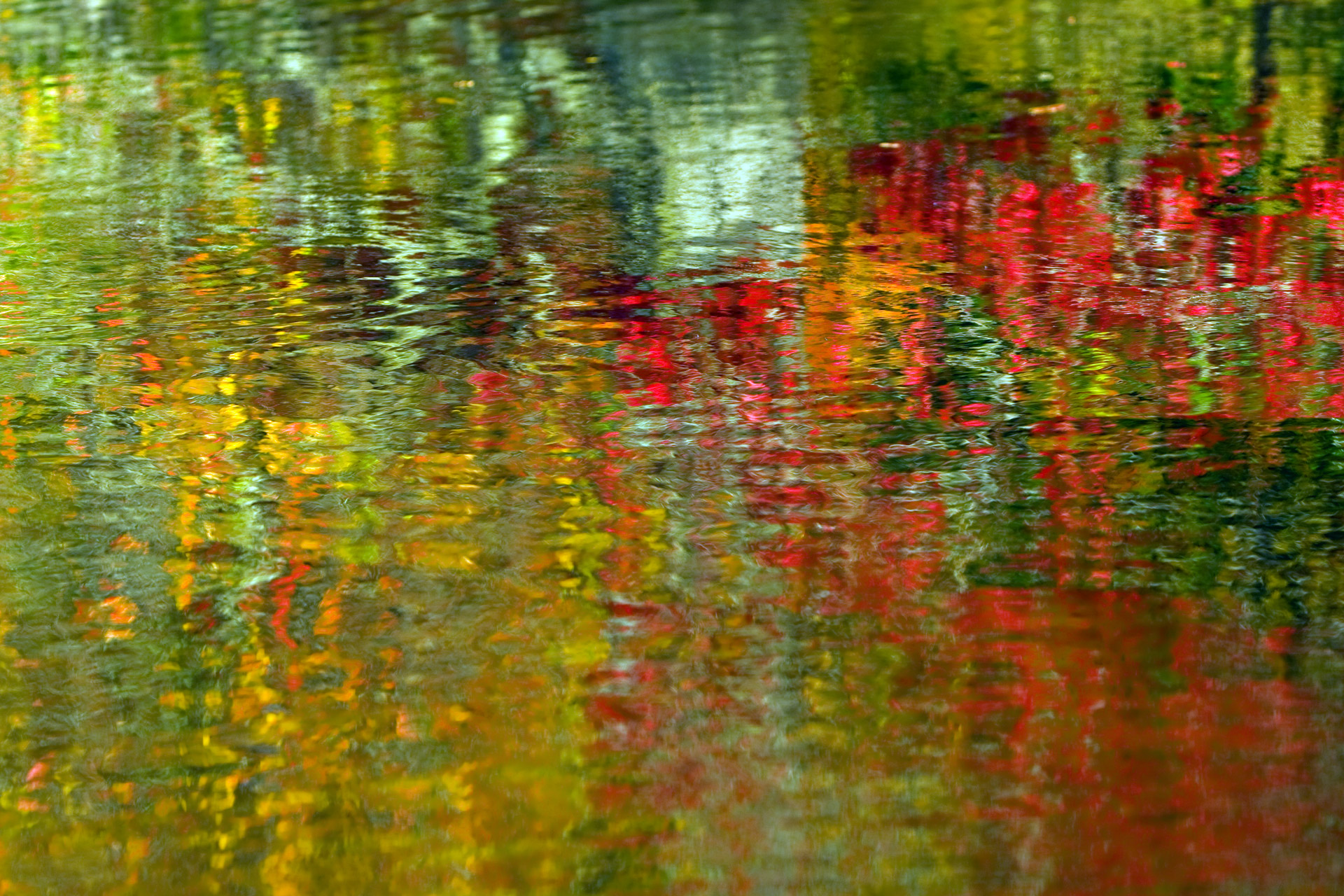 Colorful blurred abstract background of water in the autumn season
