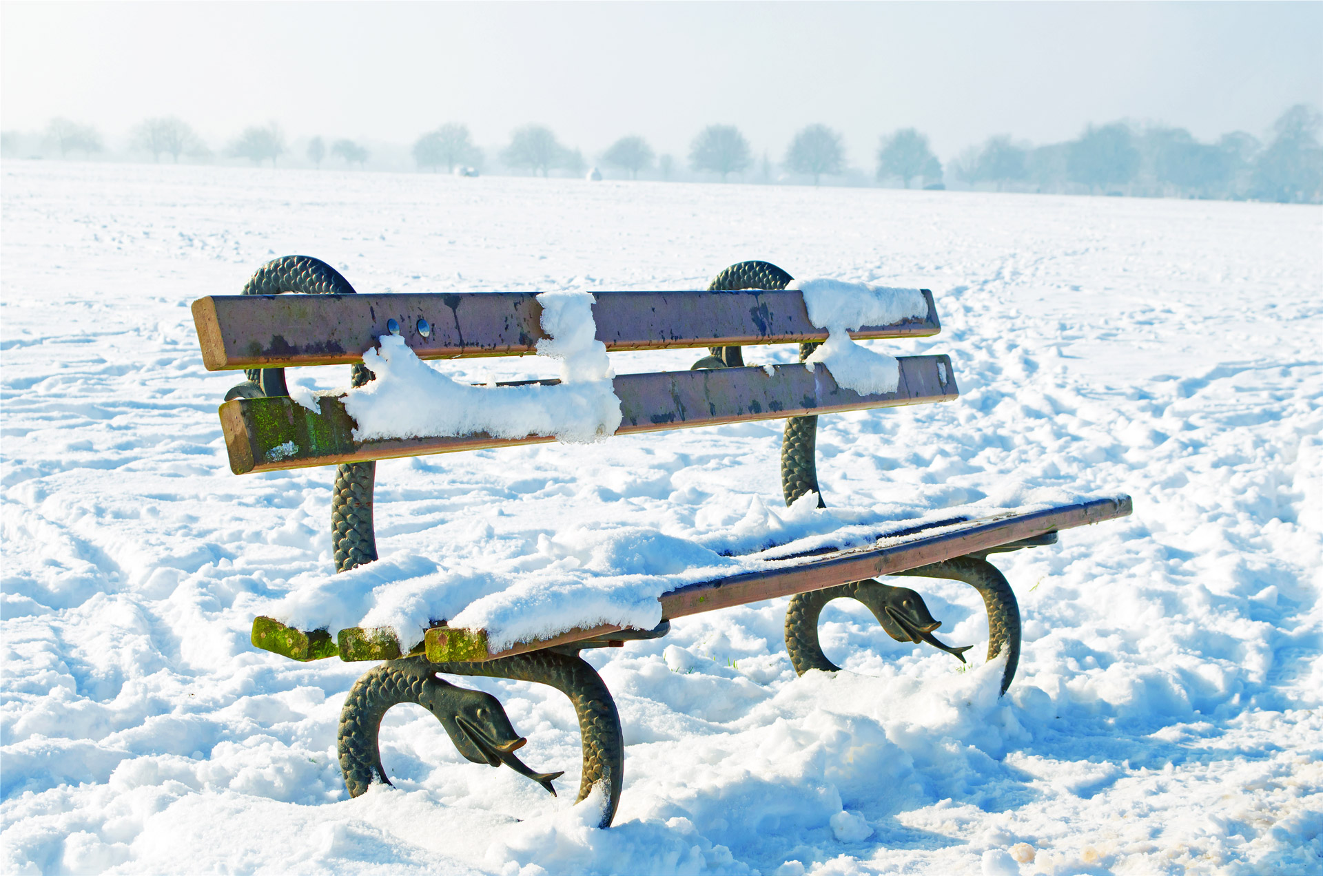 Bench And Snowy Park