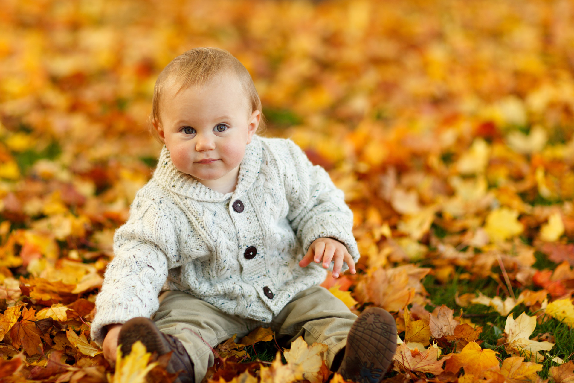 Boy In Park In Autumn