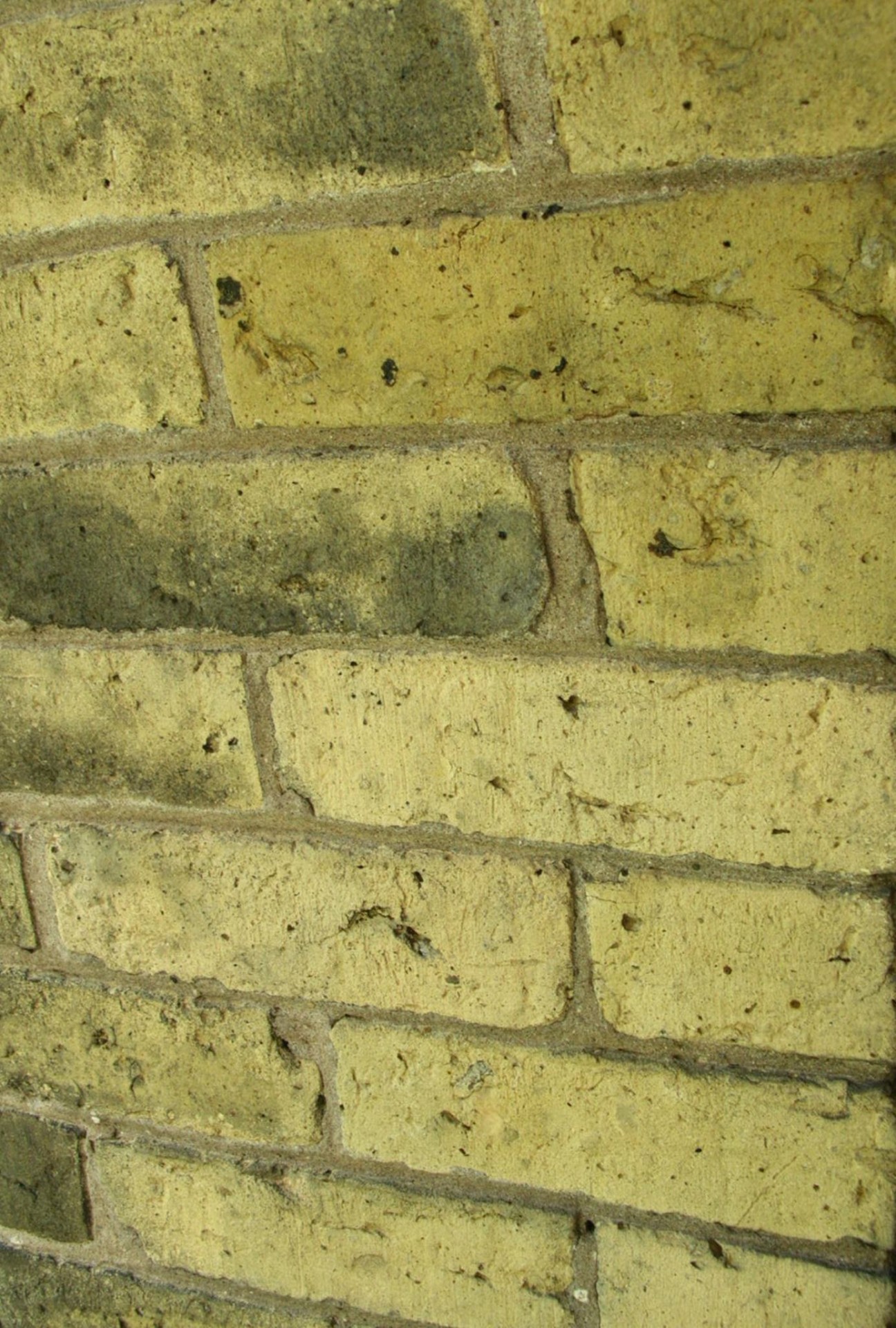 Brick Wall Vertical Background