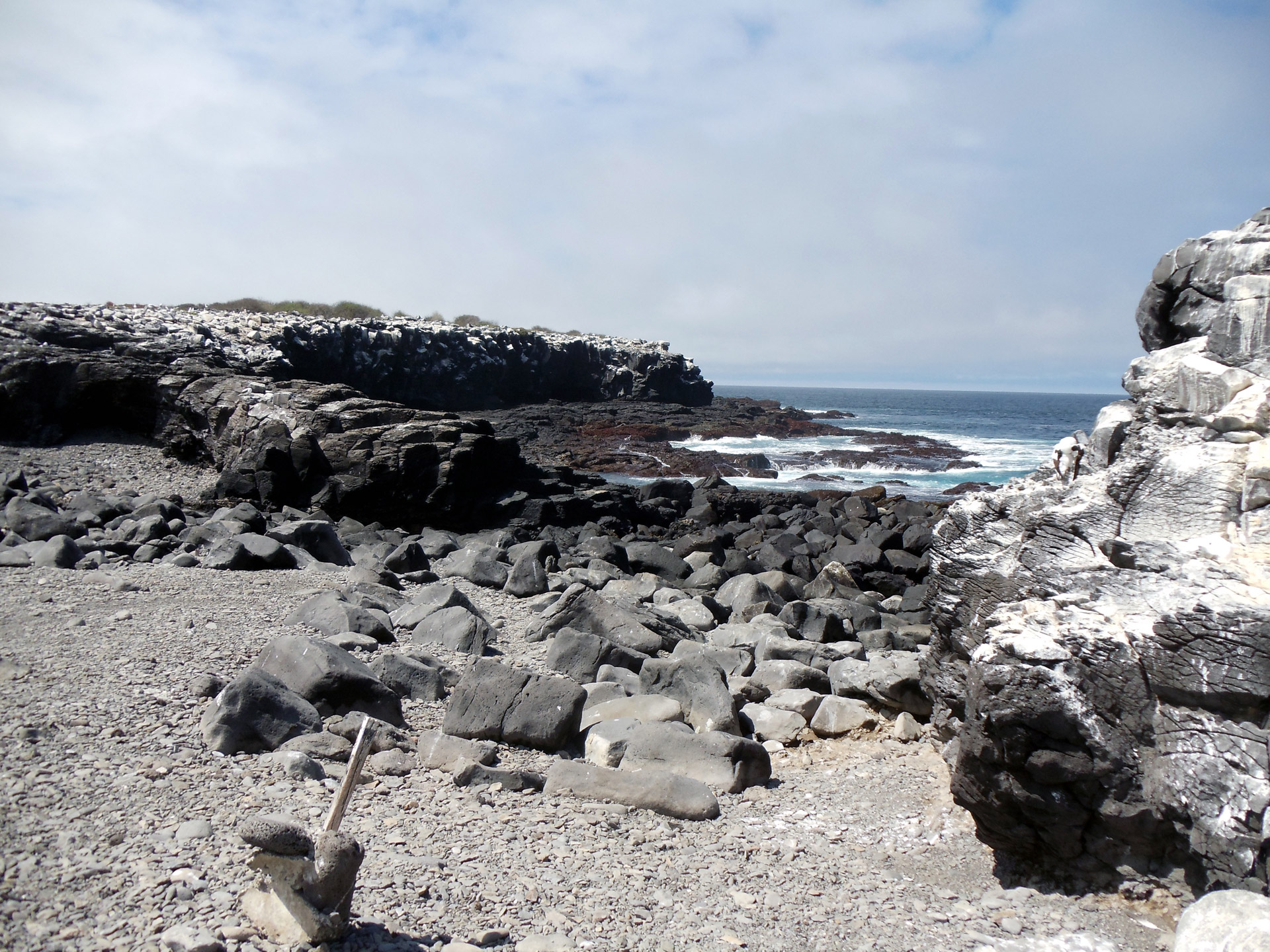 Galapagos Island Rocky Landscape
