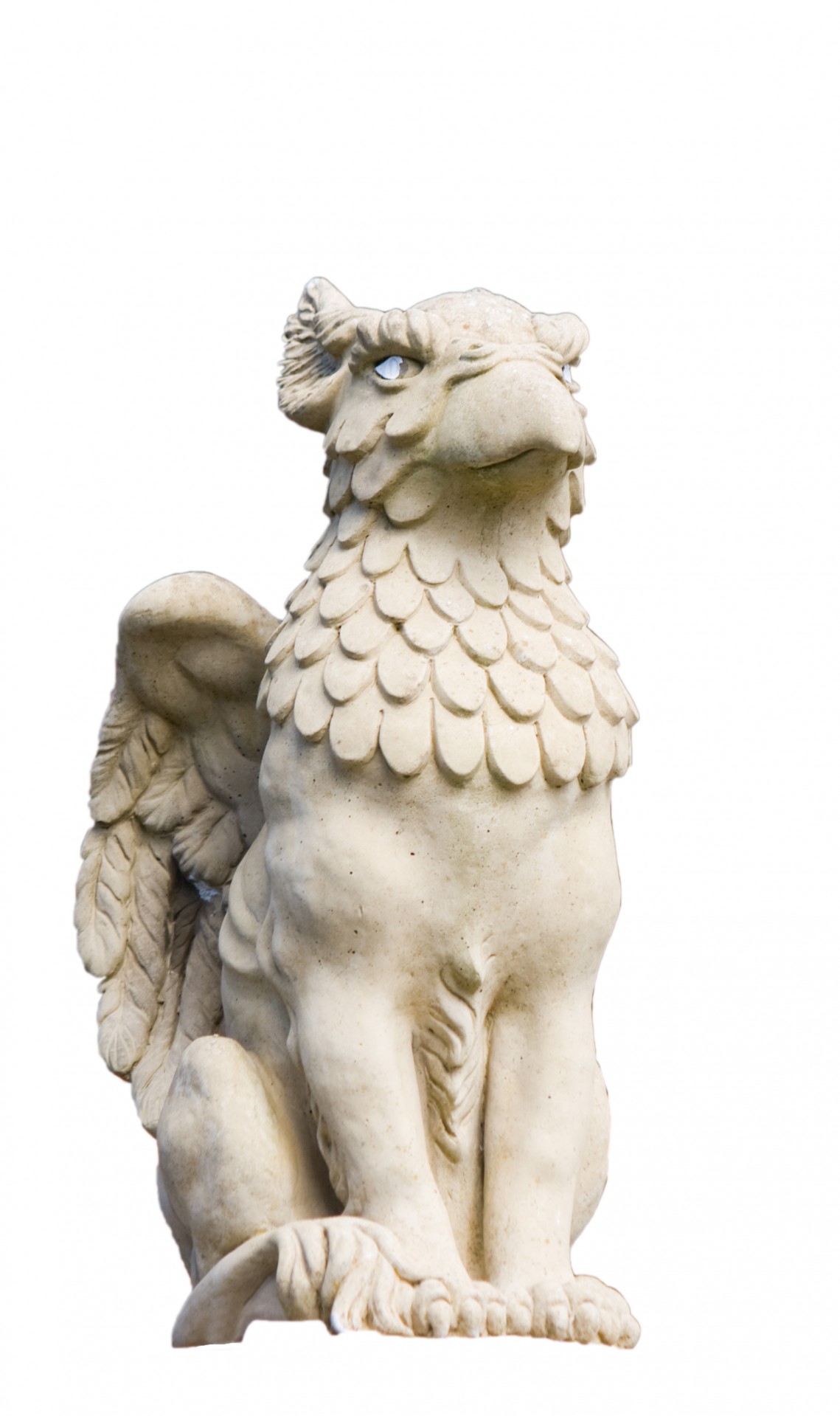 Griffin bird statue isolated on white background