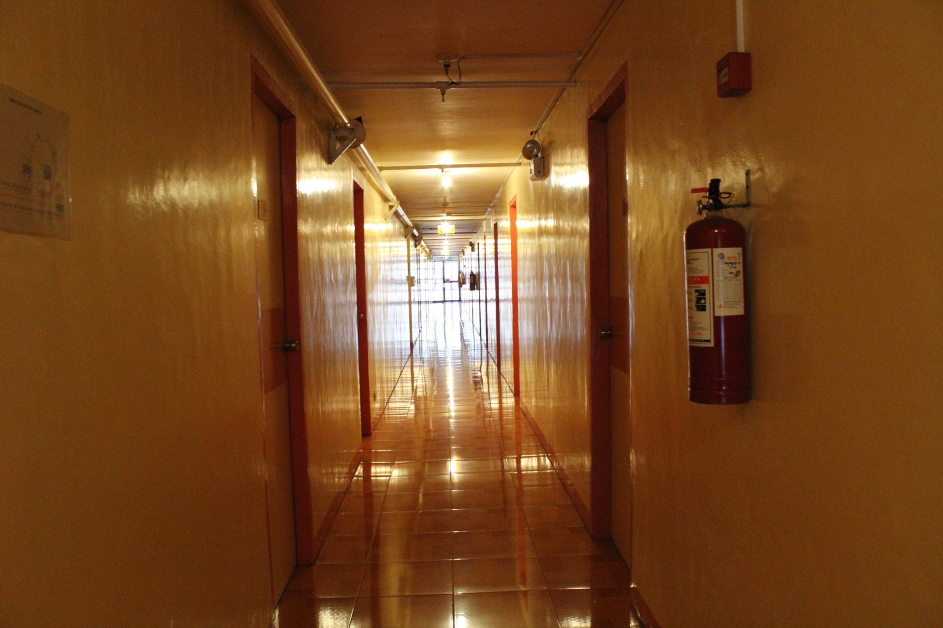 the golden hallway