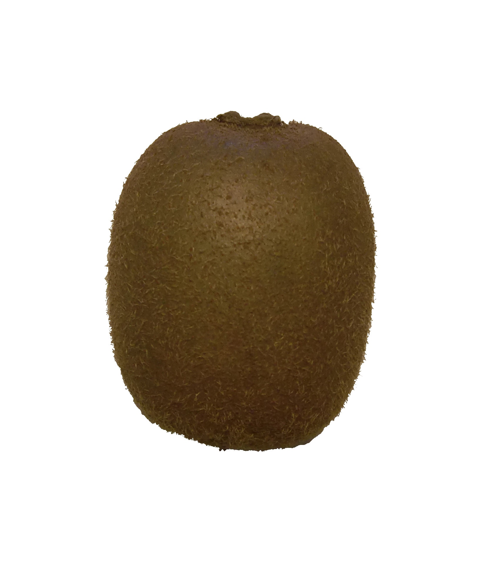 A close-up shot of a kiwifruit.