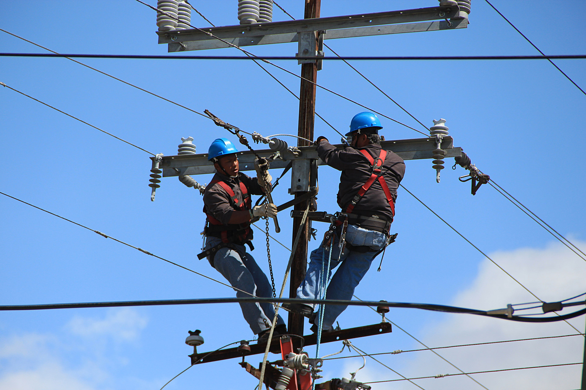 Line Workers