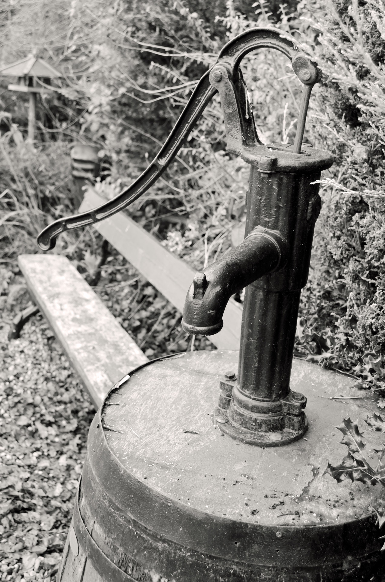 Old Water Pump