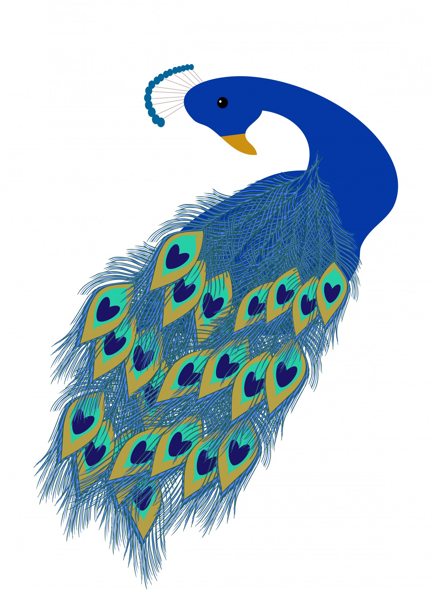 Peacock Bird Clipart