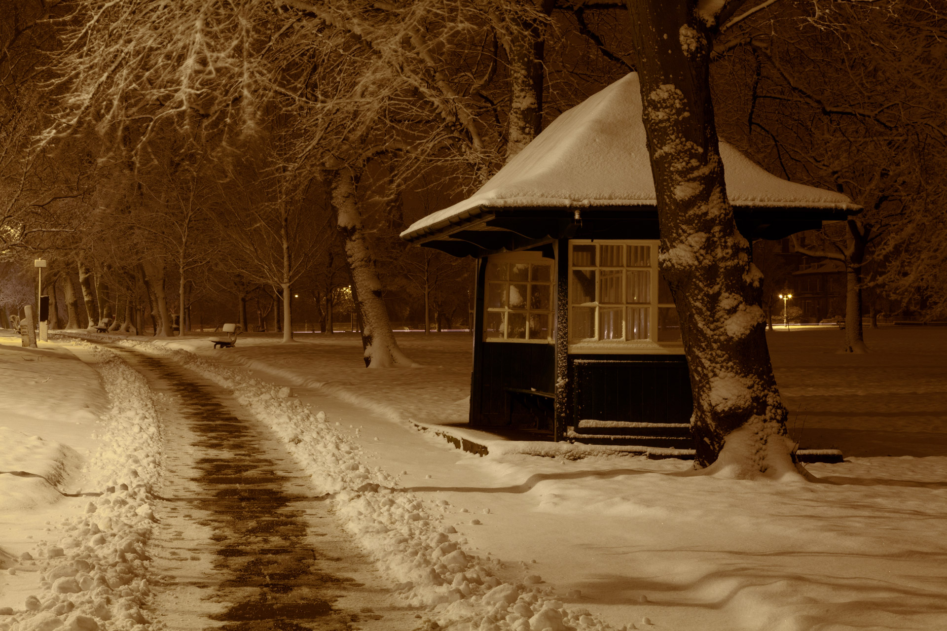 Shed In Park At Night In Winter