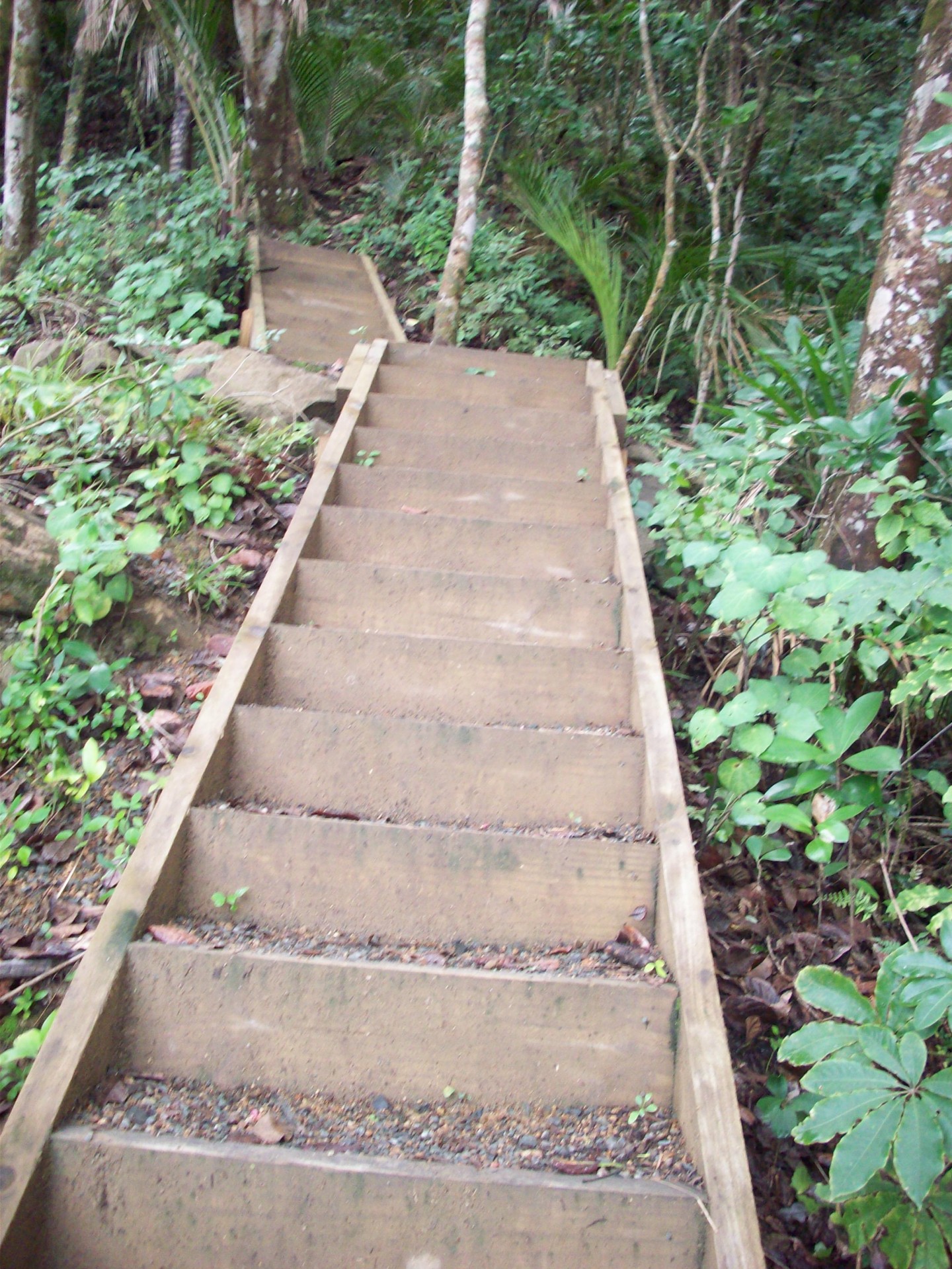 Set of wooden hiking track stairs