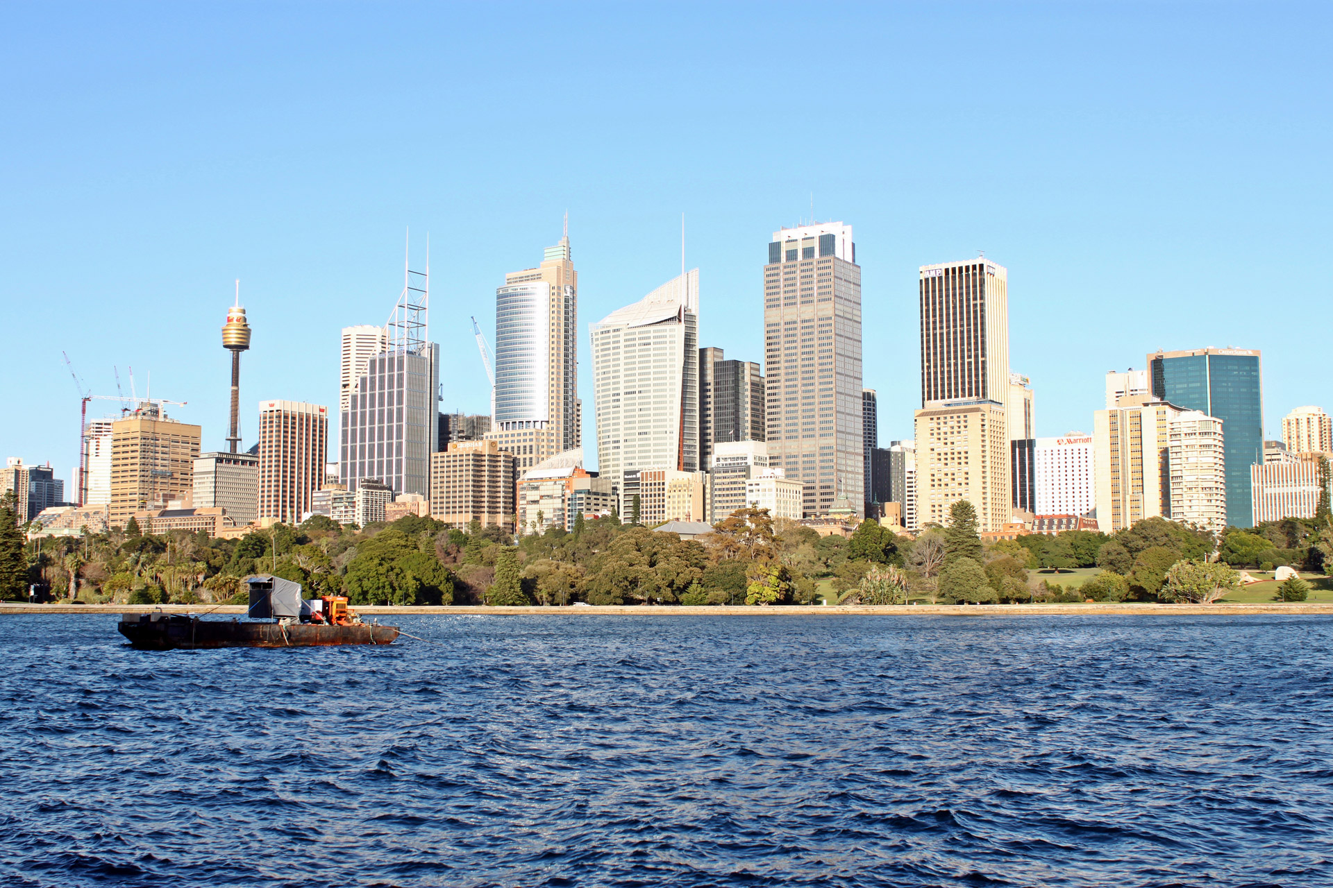 Sydney City Skyline