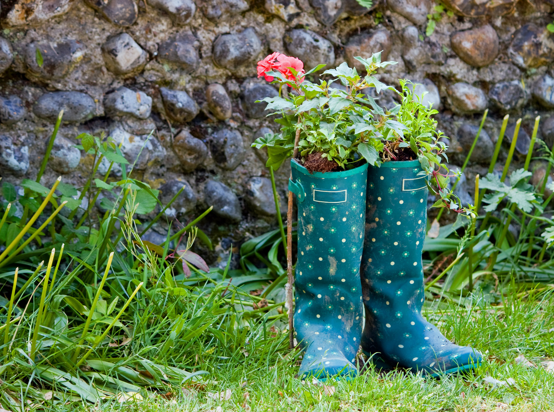 Wellington Boots & Flowers