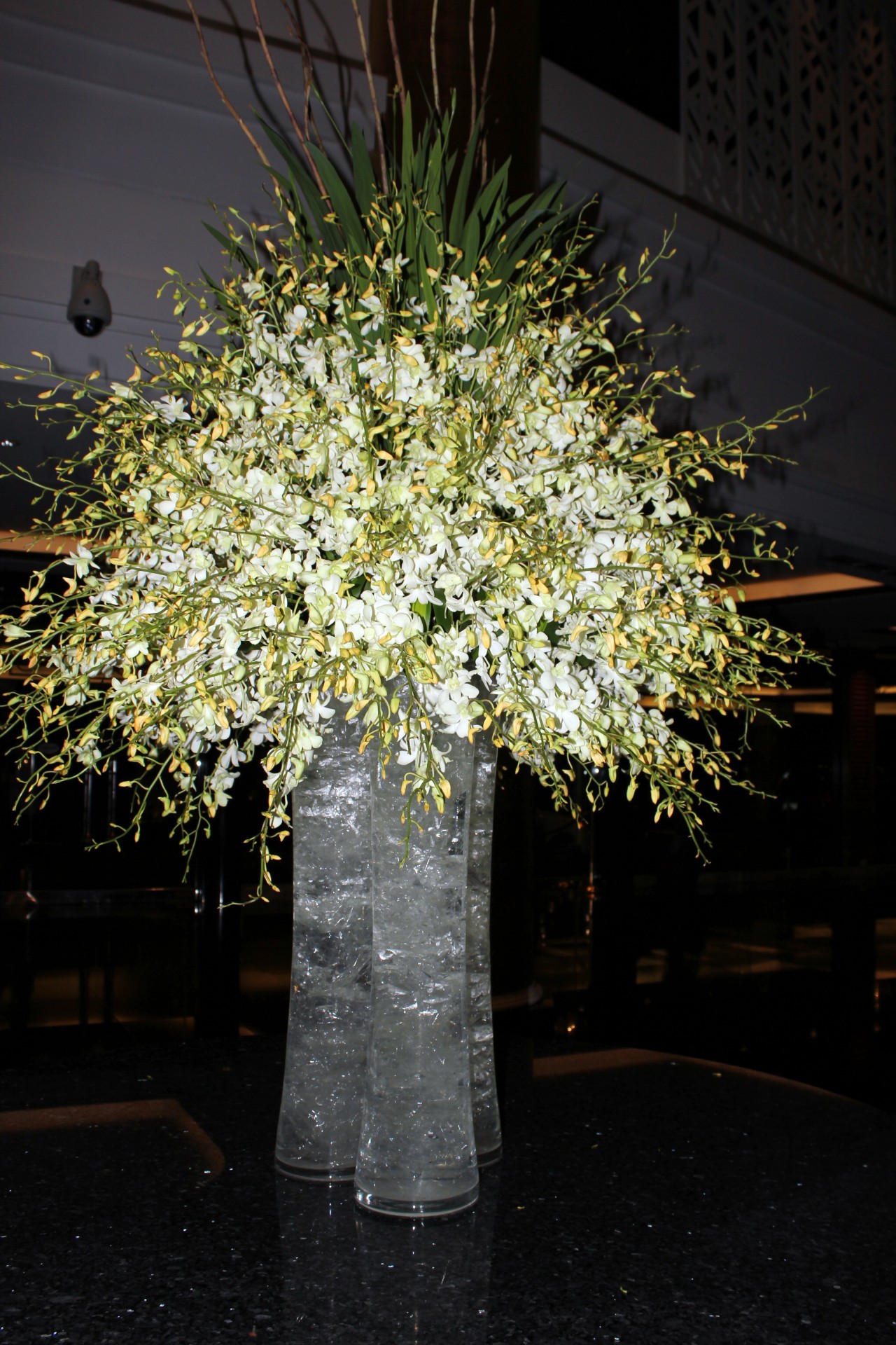 Bílé květy ve váze Stock Fotka zdarma - Public Domain Pictures