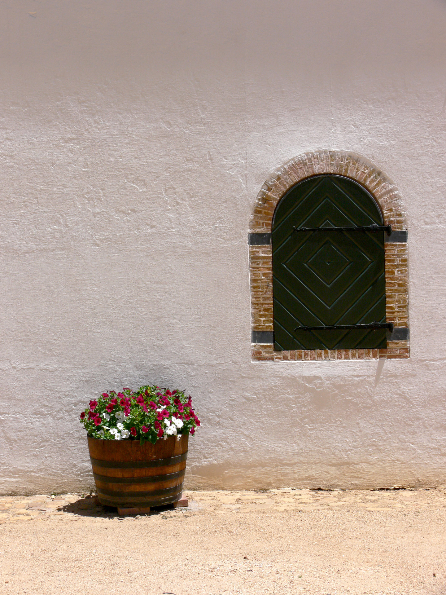 Window And Flowers