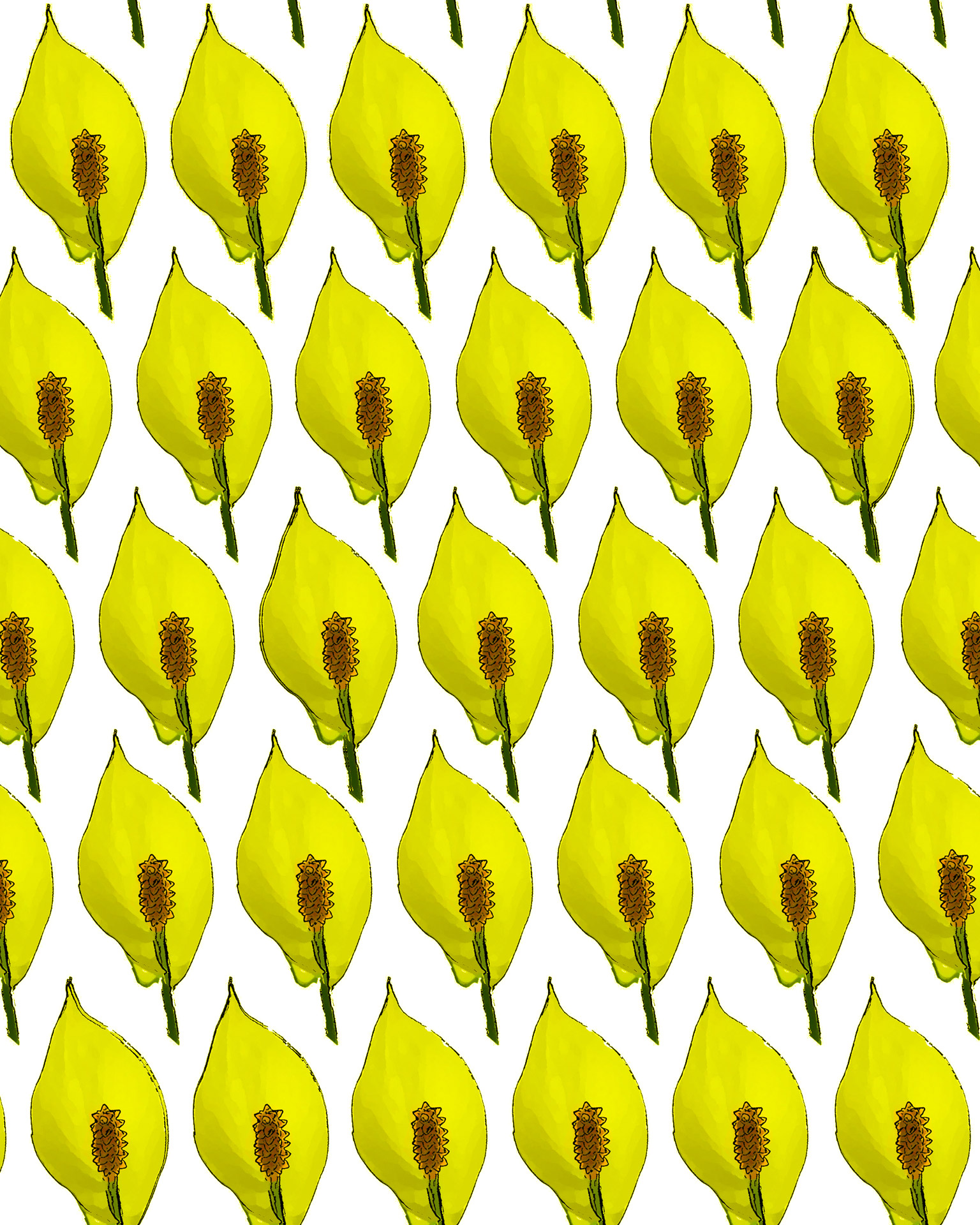 Yellow Calla Lily Background