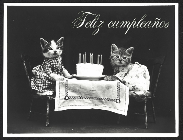 Születésnapi vintage képeslap macska Szabad kép - Public Domain Pictures