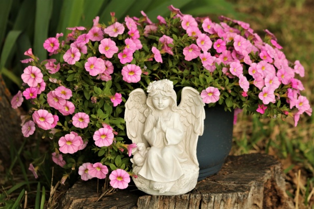 Petunias rosas y ángel Stock de Foto gratis - Public Domain Pictures