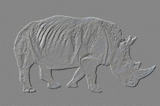 Art Rhinoceros Animal Background