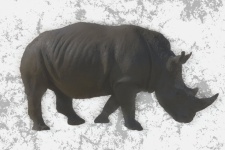Artistic Rhinoceros