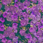 Floral Background Design 108