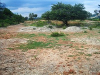 Barren Patch Of Earth With Mounds