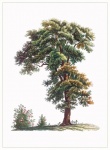 Tree Vintage Painting Art