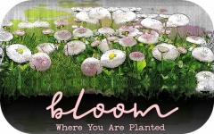 Bloom Quote Flower Poster