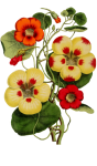 Flowers Clipart Stickers Vintage