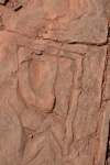 Burrows On A Red Coloured Rock